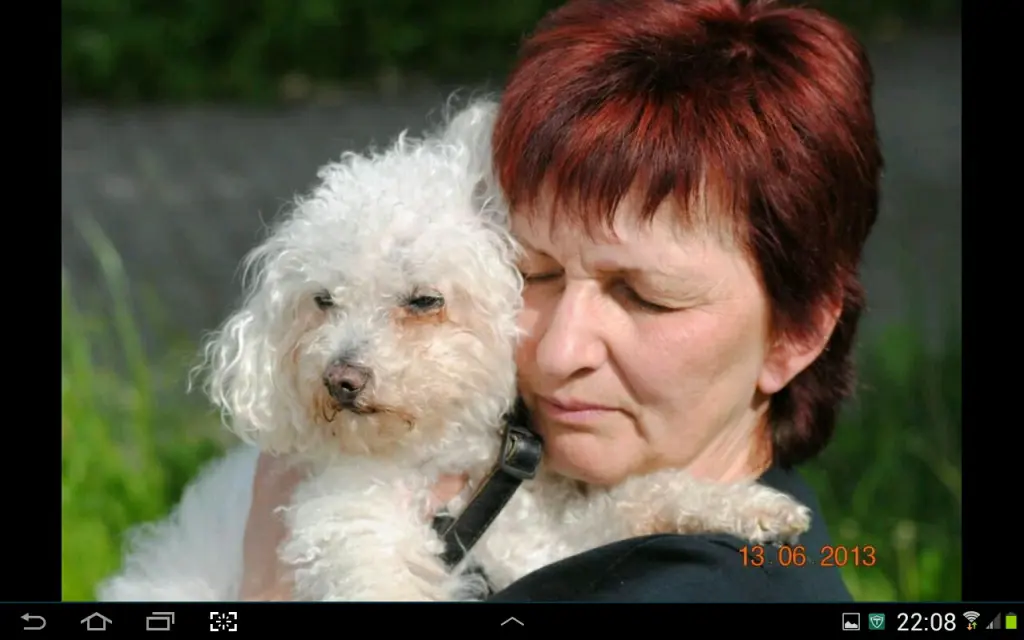 Andachtsbild von Unbekannt