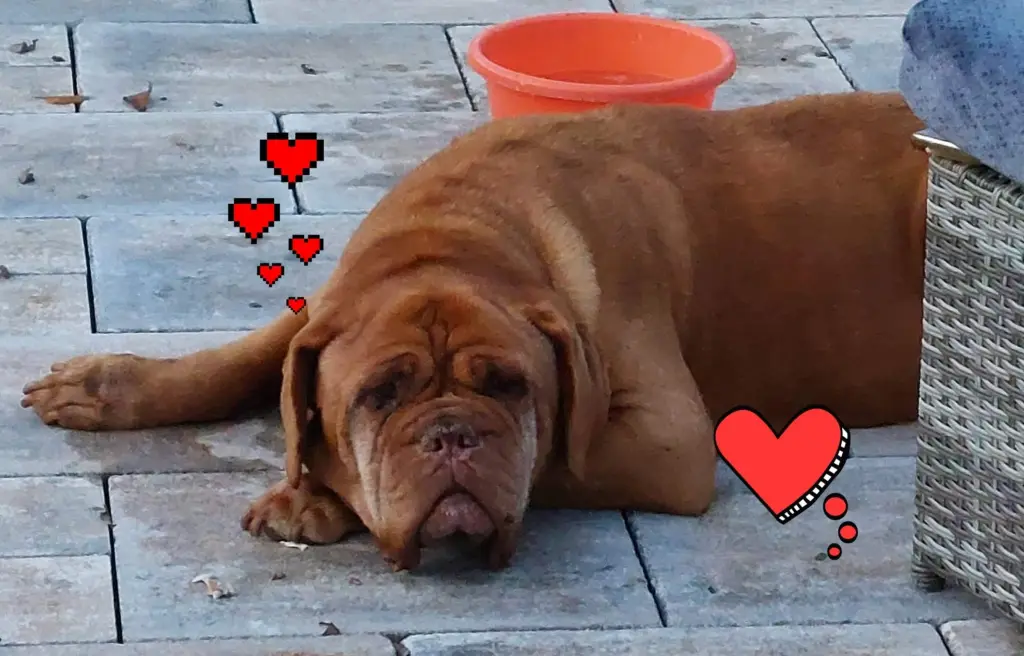 Andachtsbild von Unbekannt