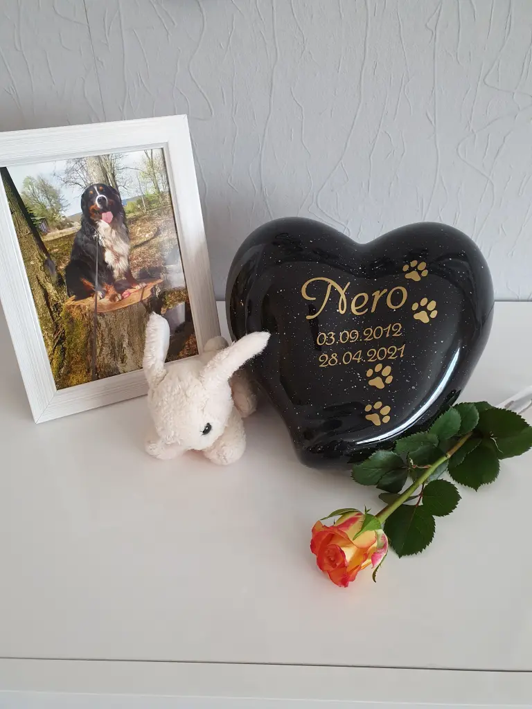 Image from Nero