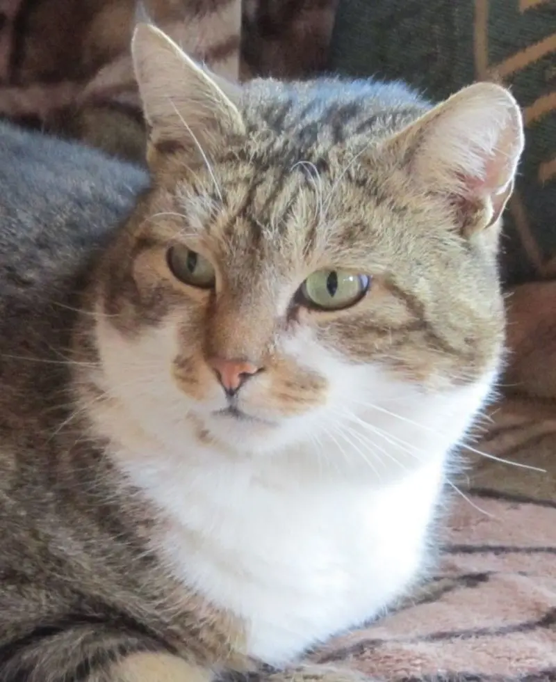 Condolence image of Conny