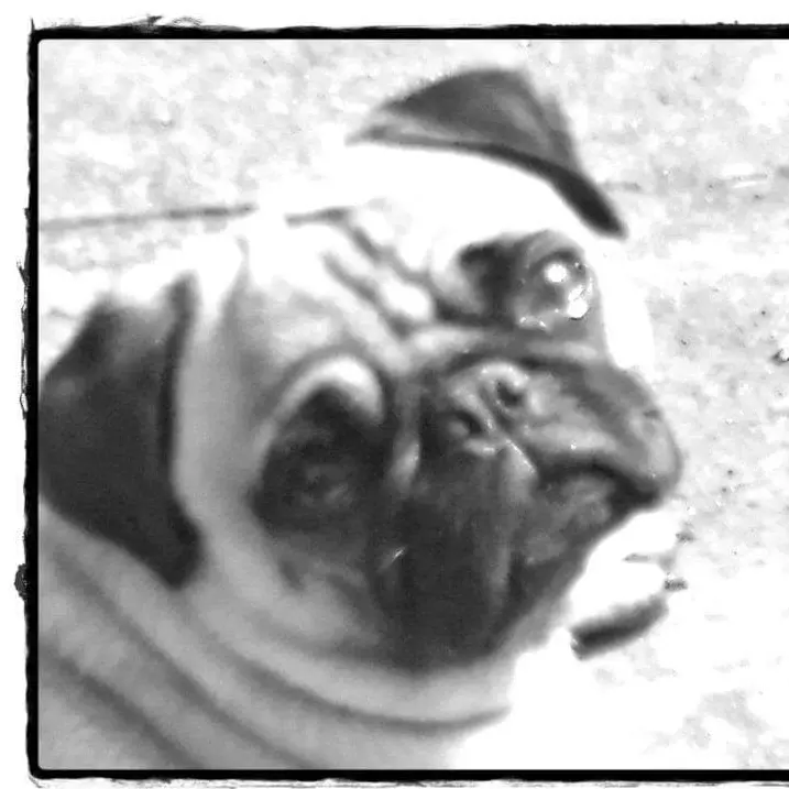 Image from Angel