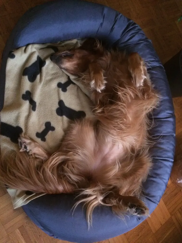 Image from Jella