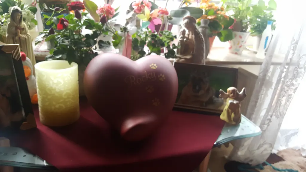 Image from Rocky