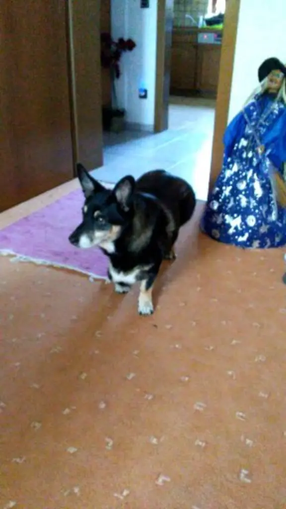 Condolence image of Sabine
