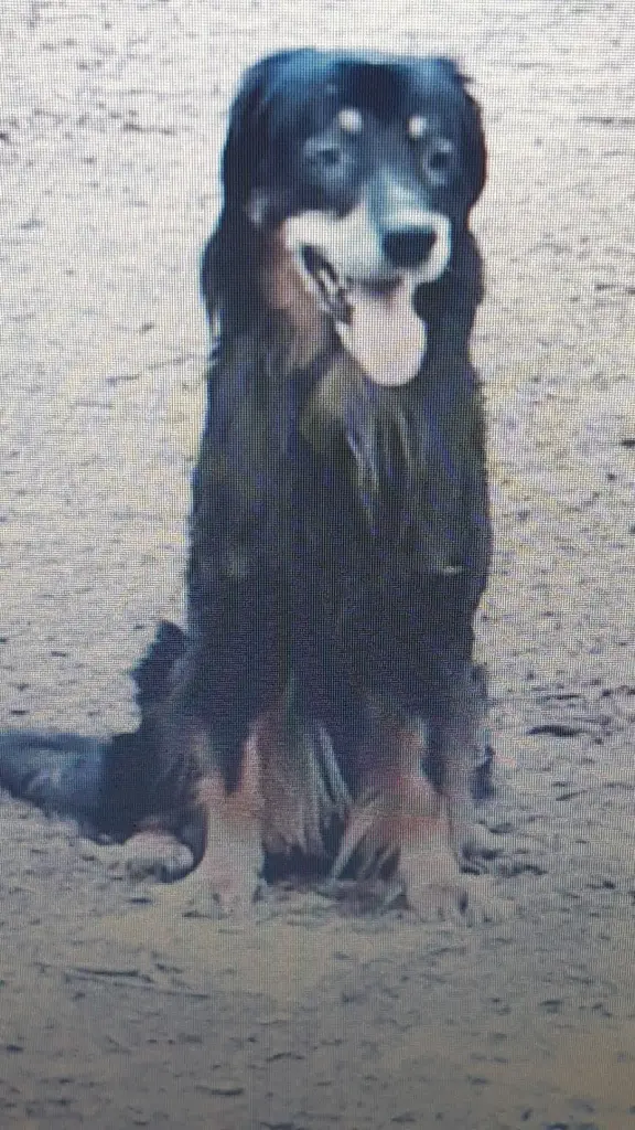 Condolence image of Sabine