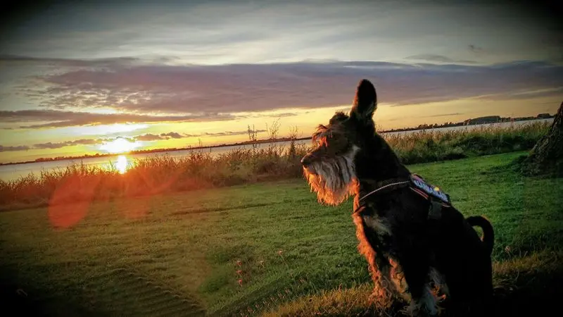 Andachtsbild von Tina mit Theo im Herzen