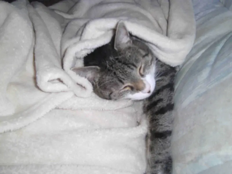 Andachtsbild von susanne