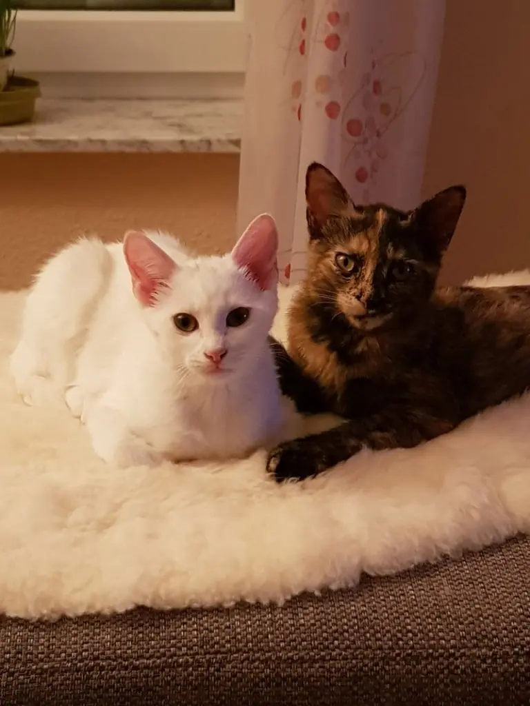 Andachtsbild von Petra Ruß