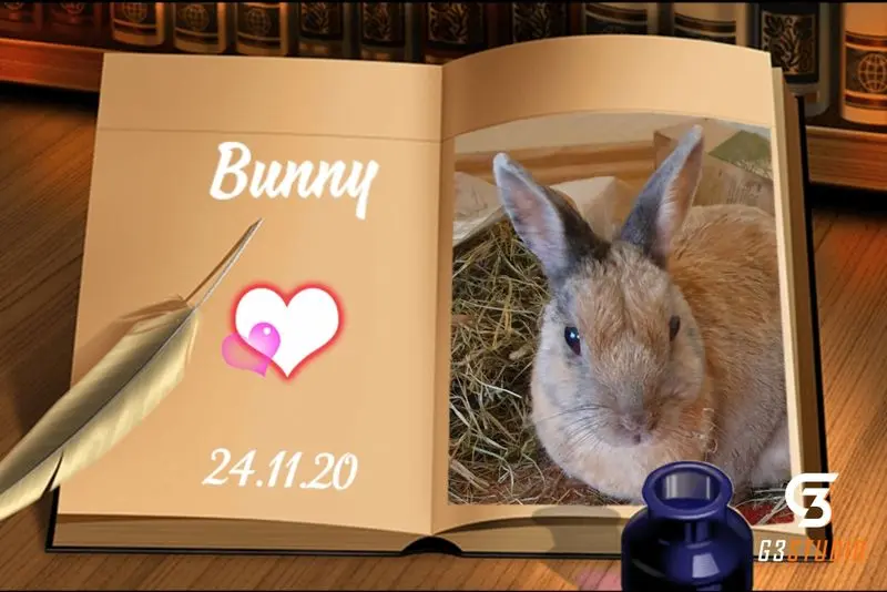 Condolence image of Patricia mit Bunny im ❤ gest. 24.11.2020