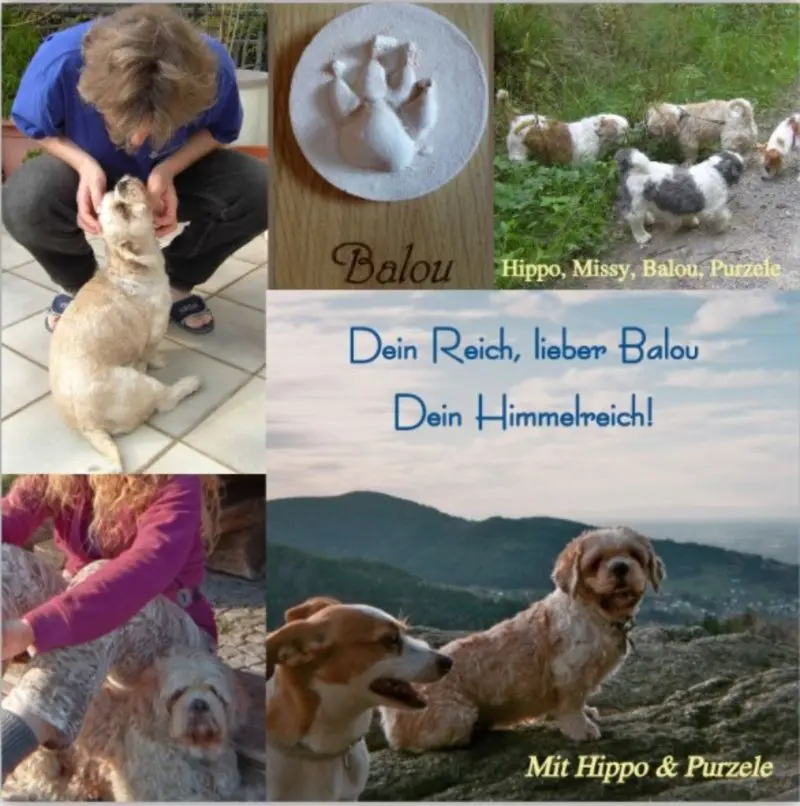 Condolence image of Marika mit Hippo & Balou im Herzen