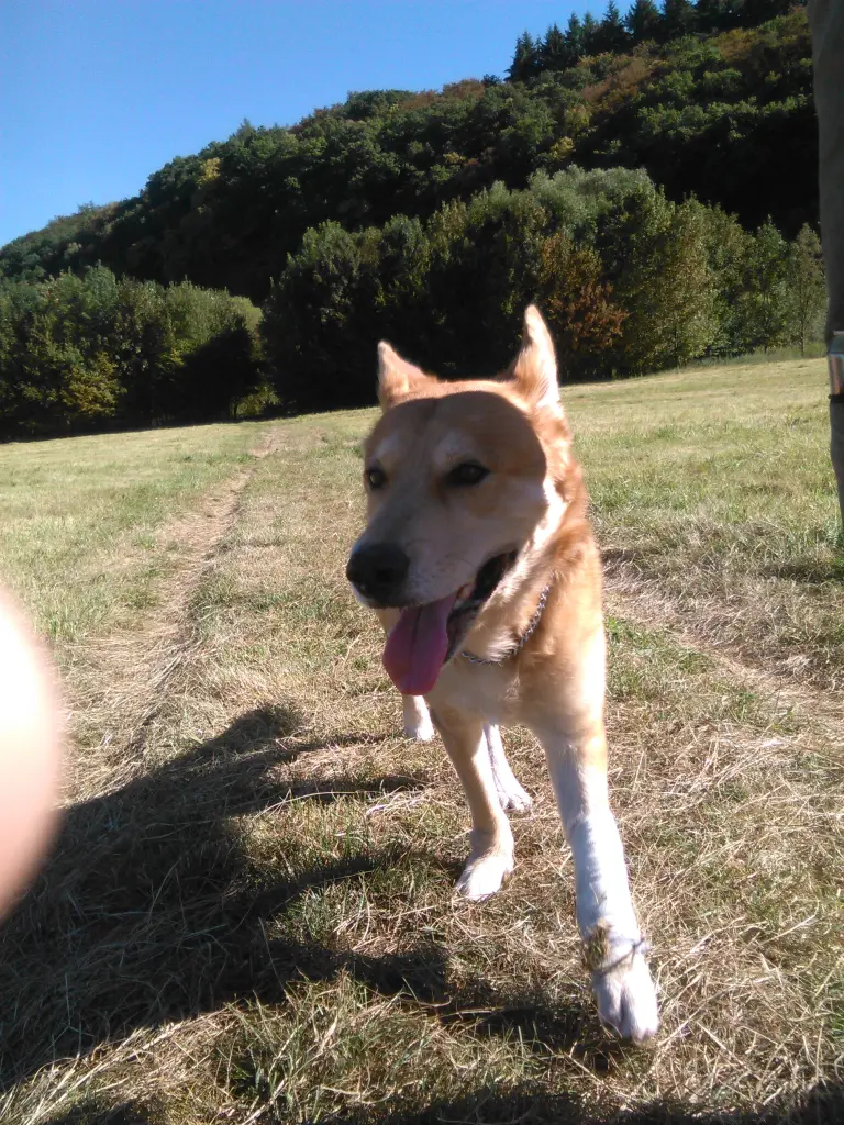 Image from Spike
