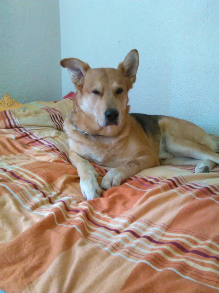 Image from Spike