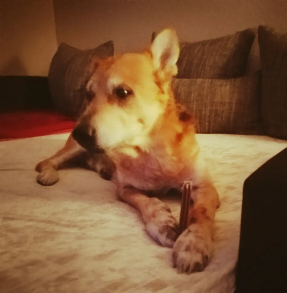 Image from Spike