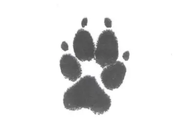 Image from DRACO