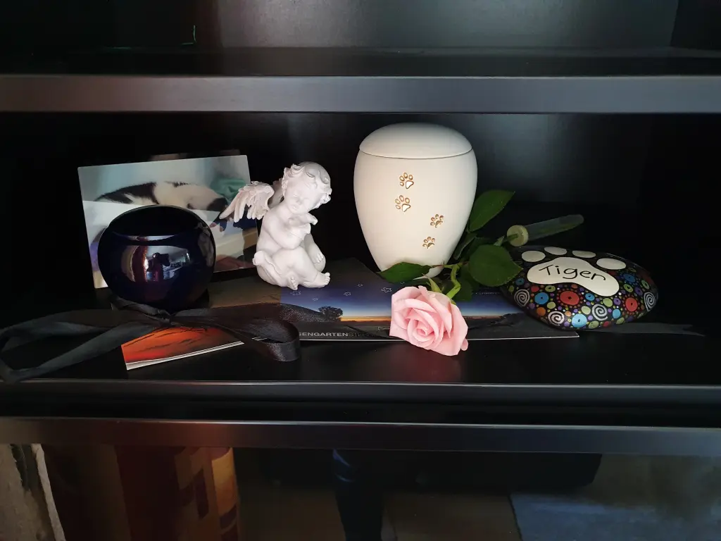 Image from Tiger
