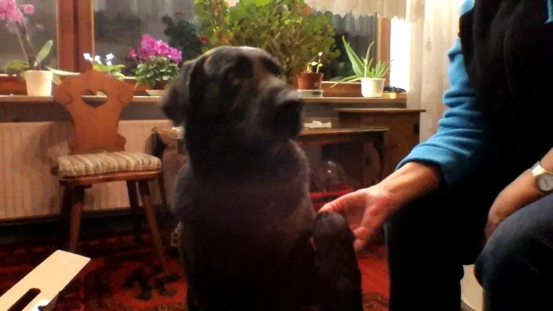 Condolence image of Sylvia