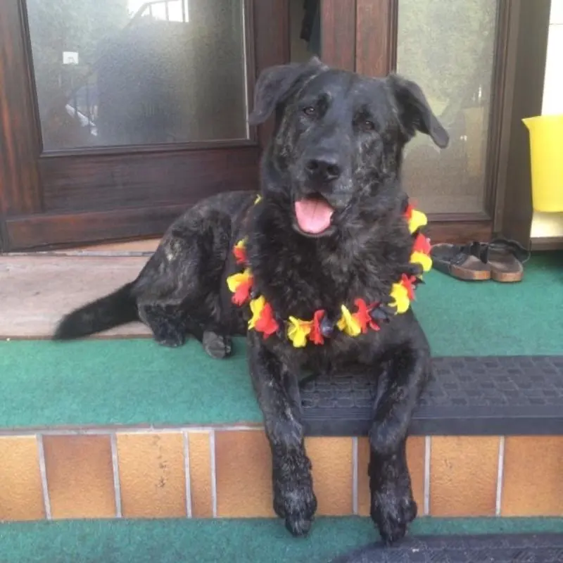 Condolence image of Sylvia