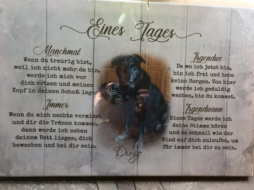 Condolence image of Sylvia
