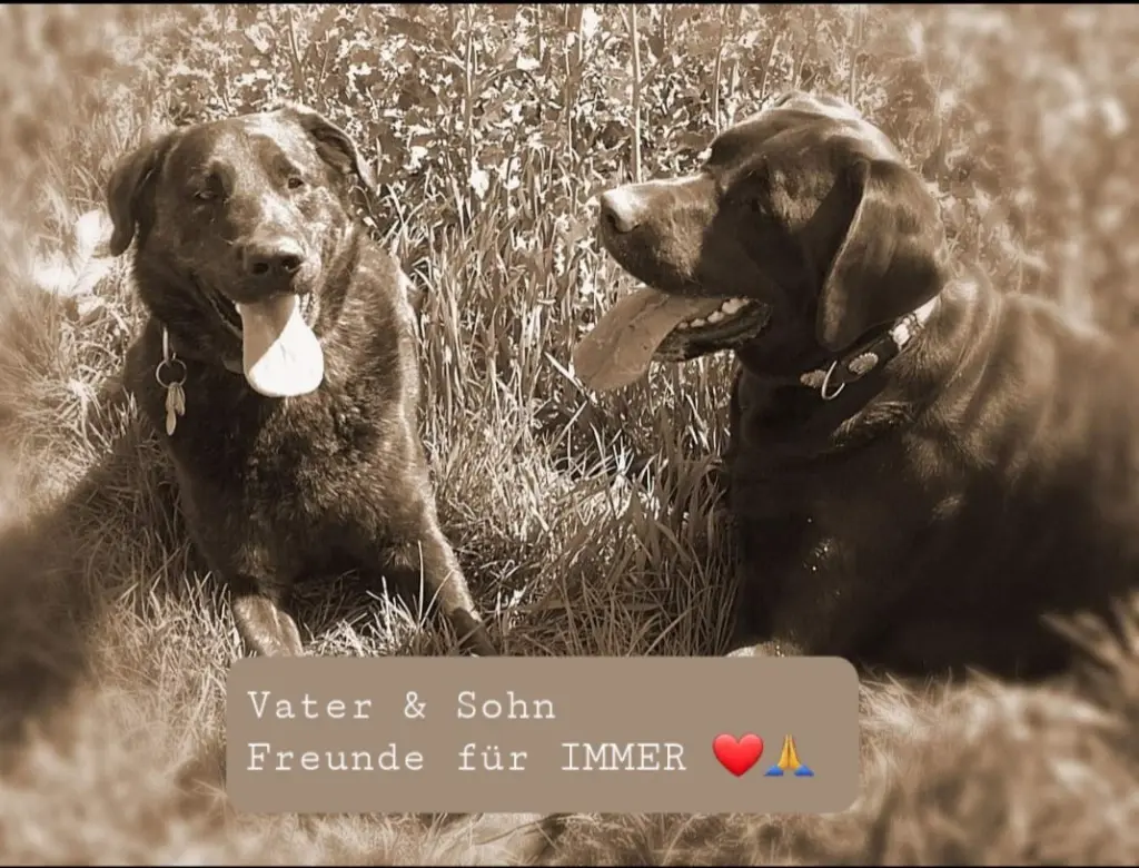 Condolence image of Jenna