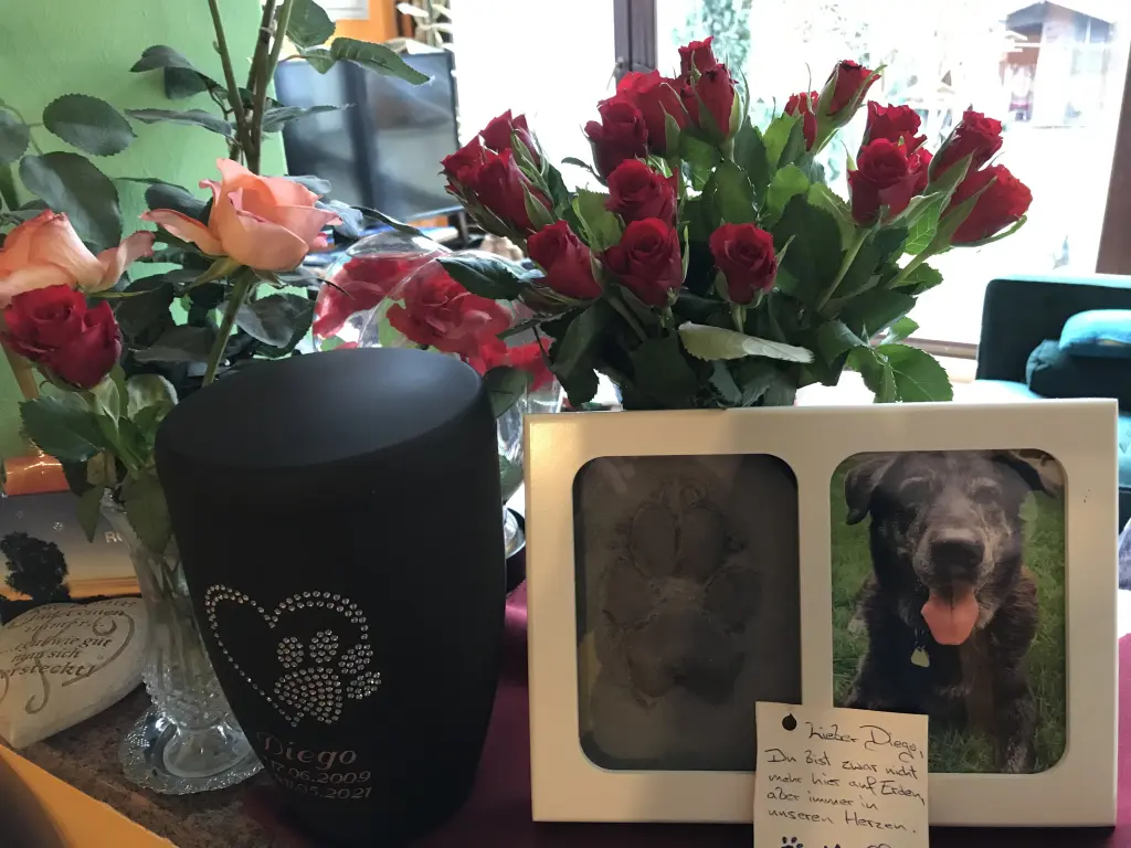 Condolence image of Sylvia