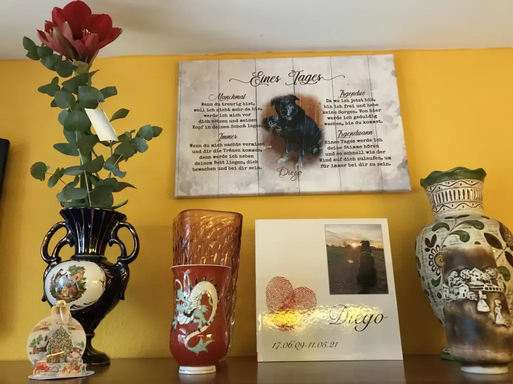 Condolence image of Sylvia