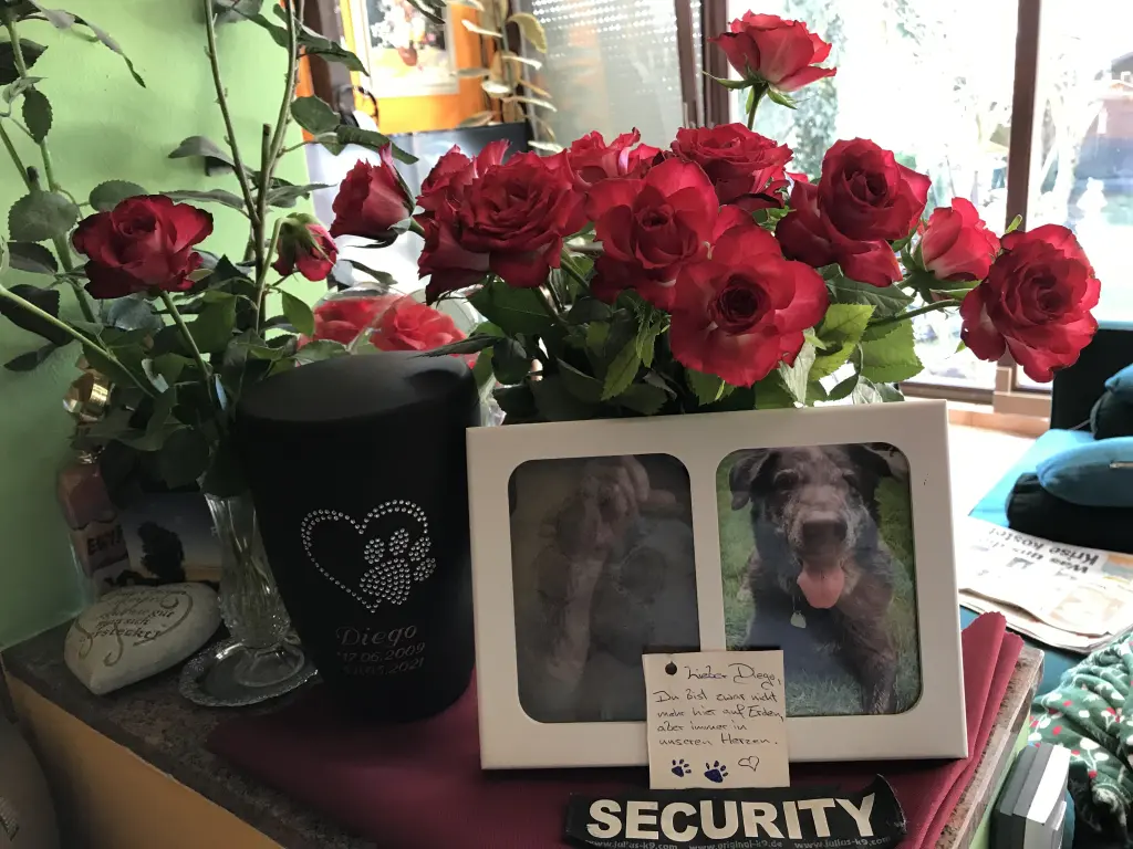 Condolence image of Sylvia