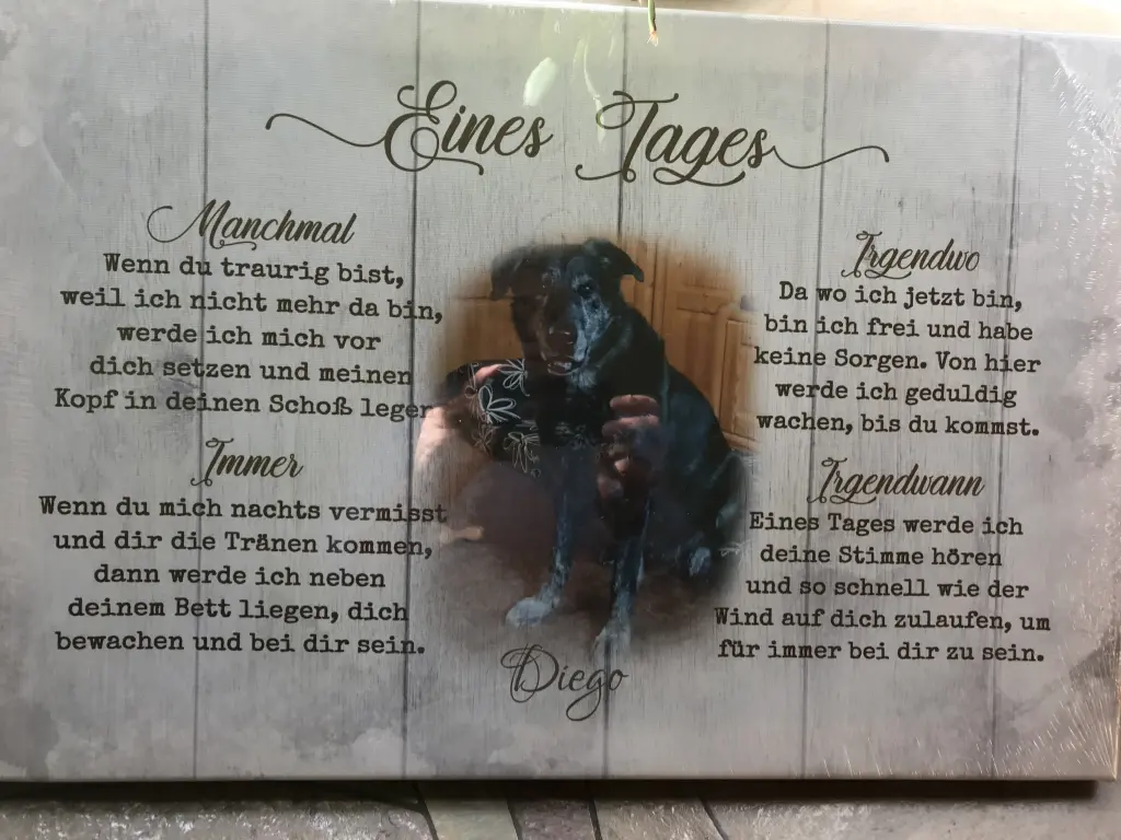 Condolence image of Sylvia 