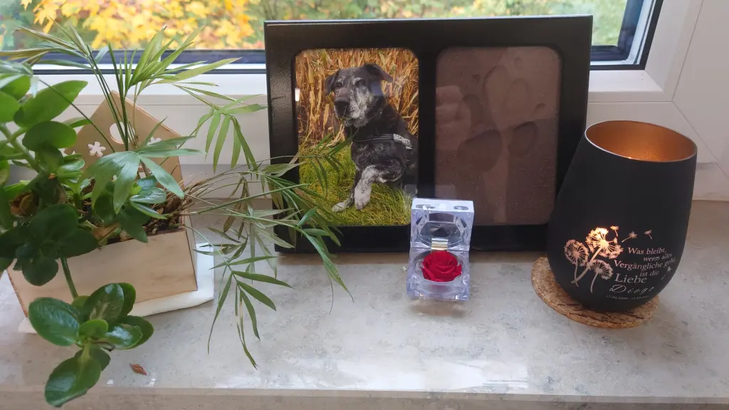 Condolence image of Irene