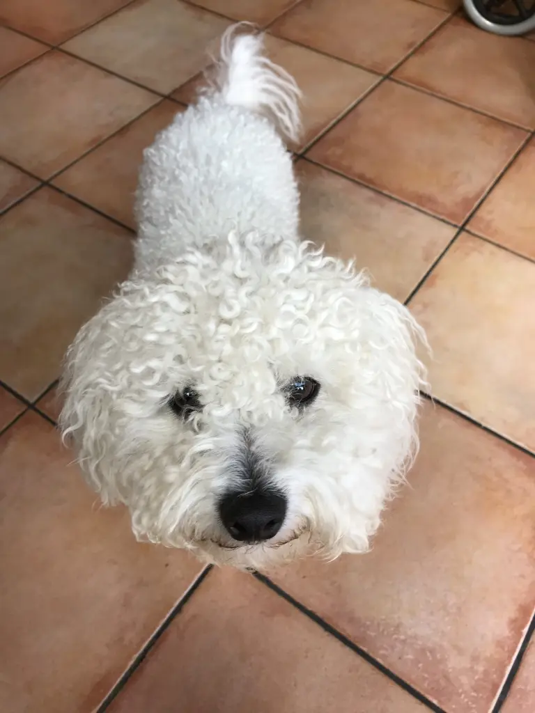 Condolence image of Sylvia