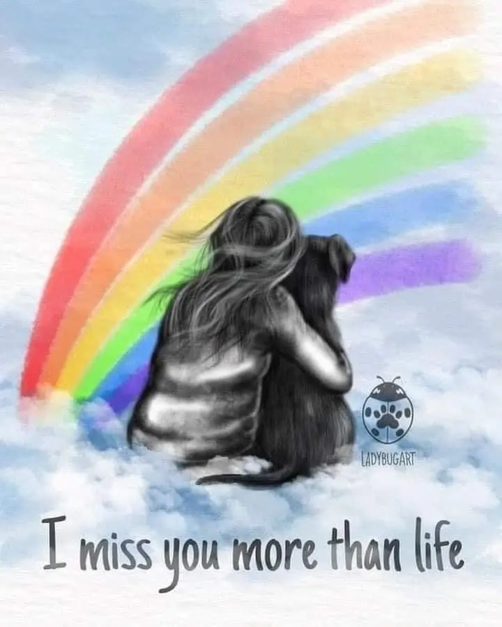 Condolence image of Sylvia
