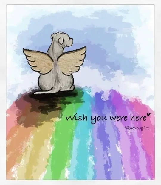 Condolence image of Sylvia