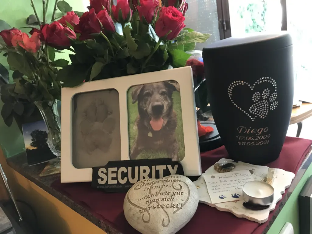 Condolence image of Sylvia