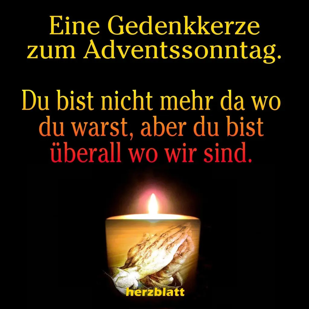 Condolence image of Sylvia Weishäupl