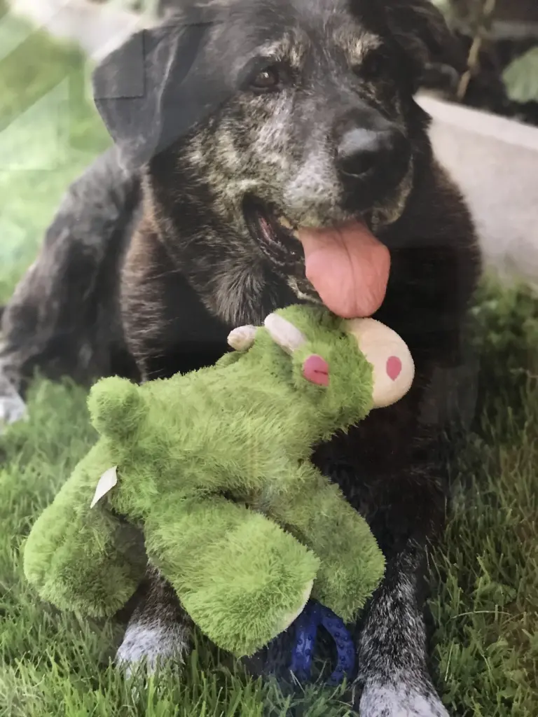 Condolence image of Sylvia