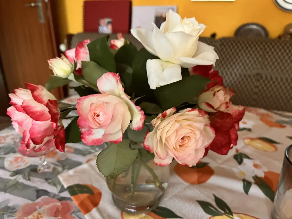 Condolence image of Unbekannt
