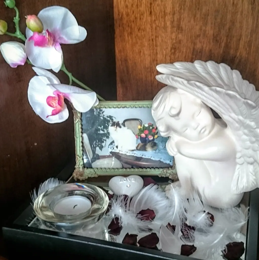 Condolence image of Rosina