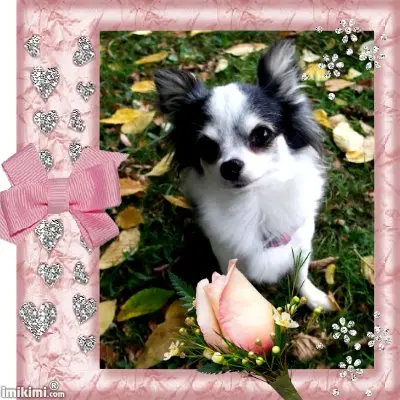 Condolence image of Rosina