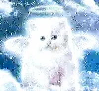 Condolence image of Rosina