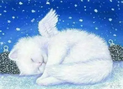 Condolence image of Rosina