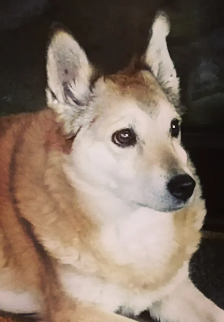 Bild von Nammy