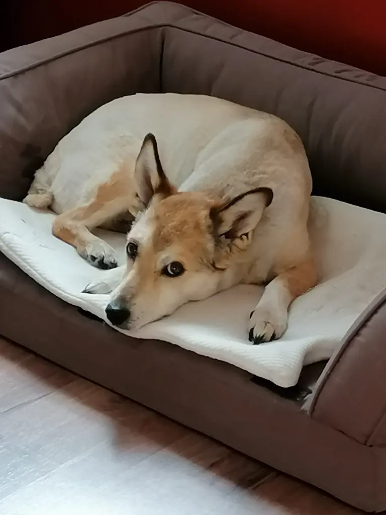Bild von Nammy