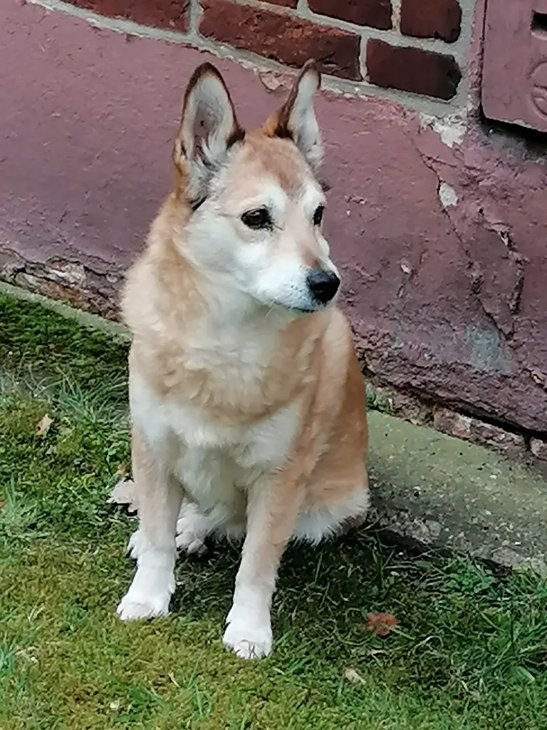 Bild von Nammy