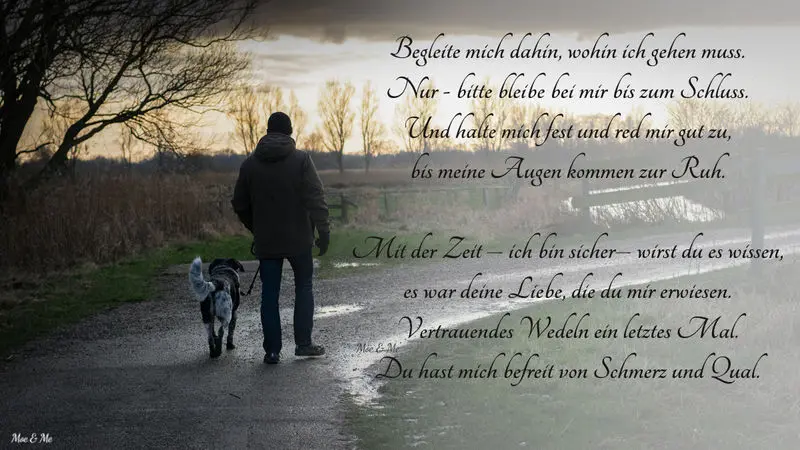 Andachtsbild von Andrea mit Max im Herzen