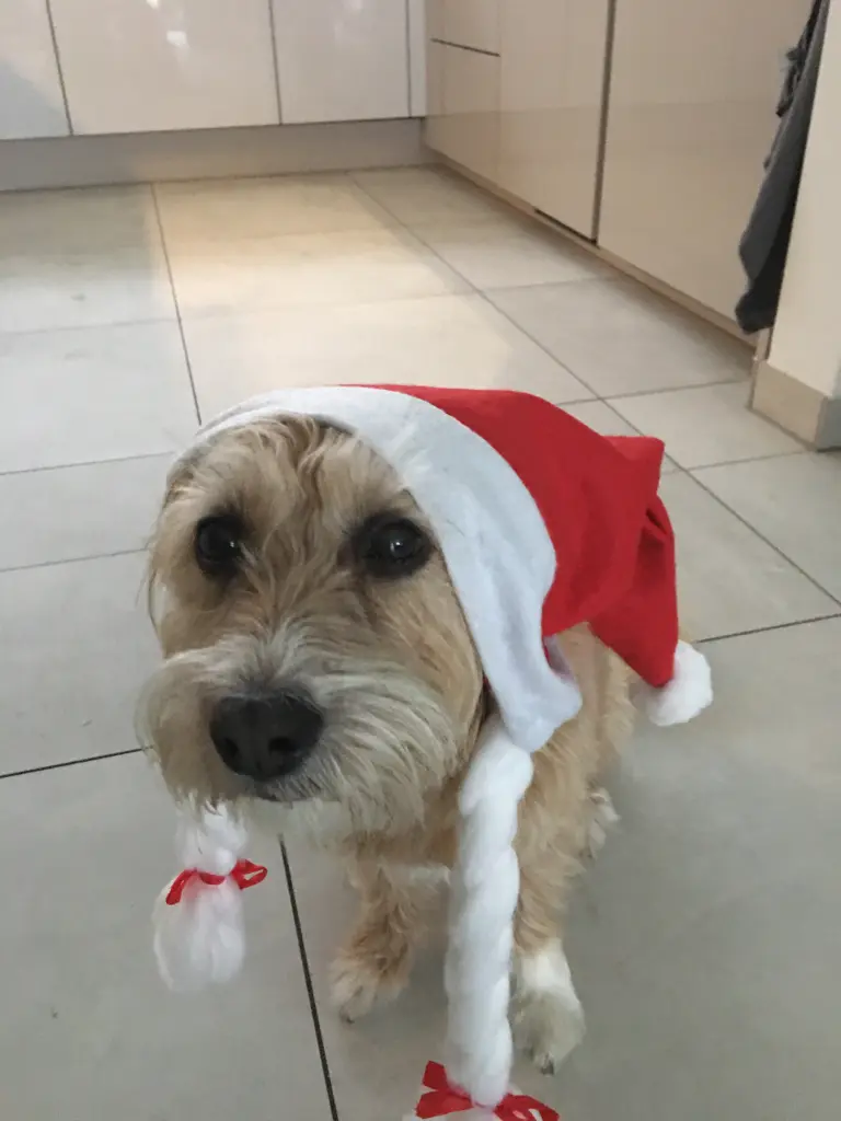 Andachtsbild von Sibille