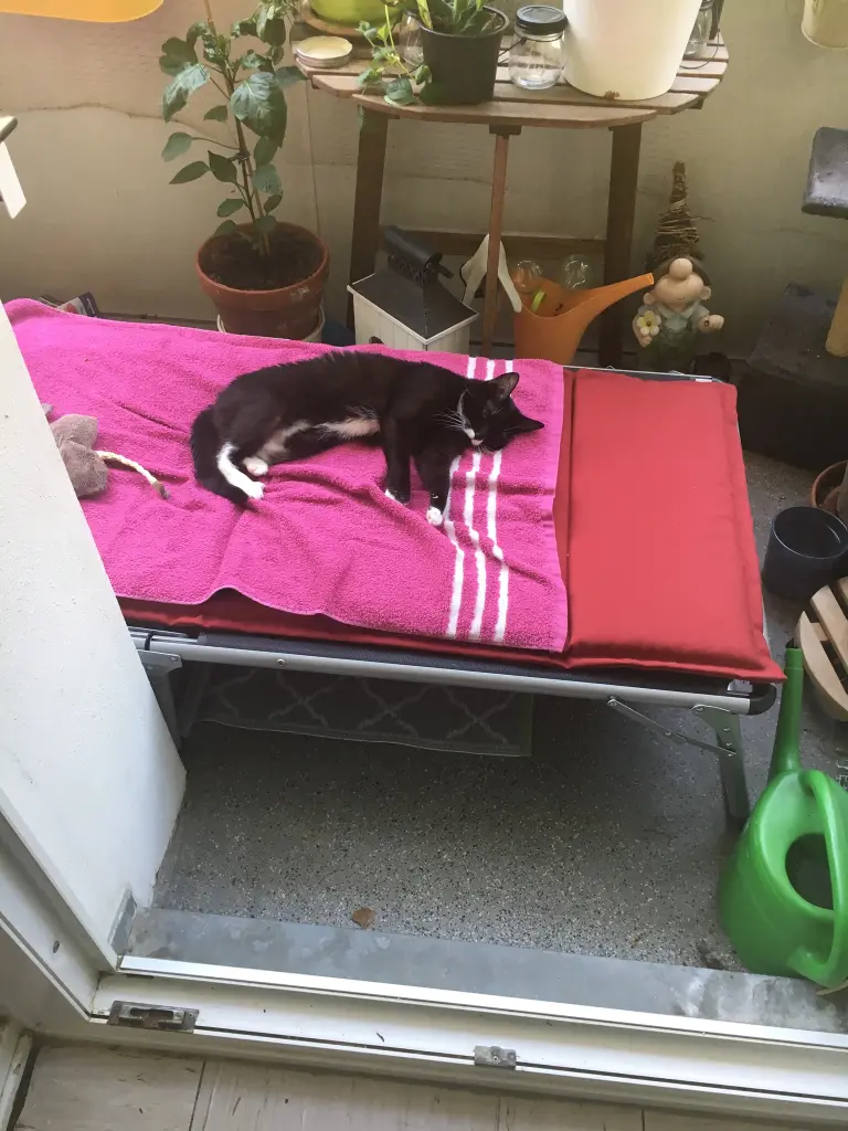 Image from Cleo