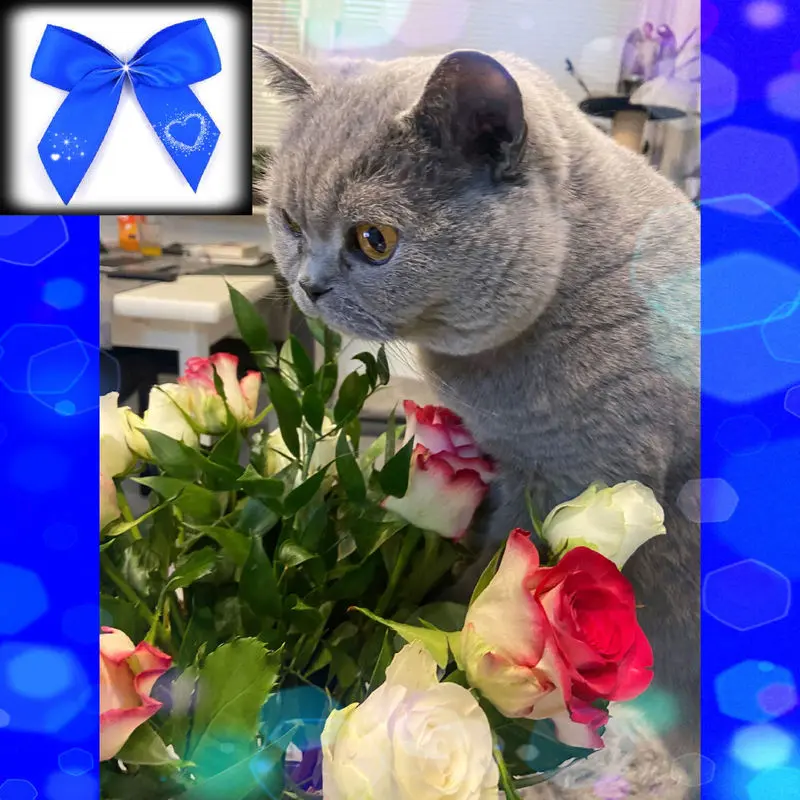 Condolence image of Angelika