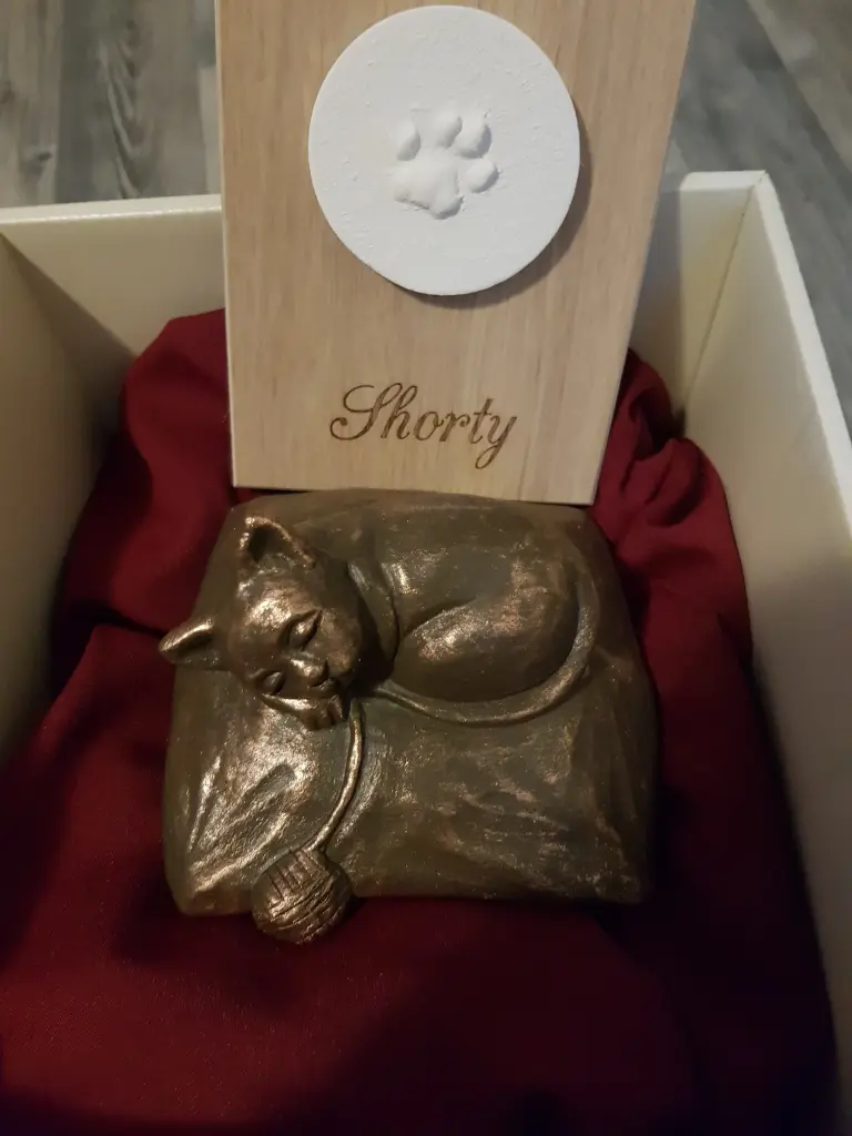 Image from Shorty