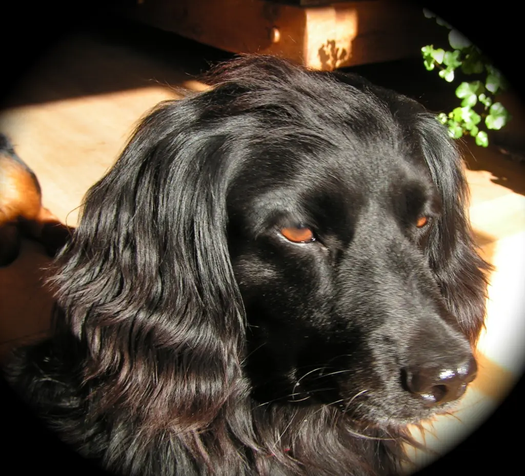 Image from Leila