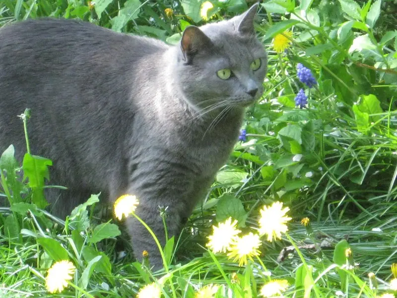 Bild von Marie