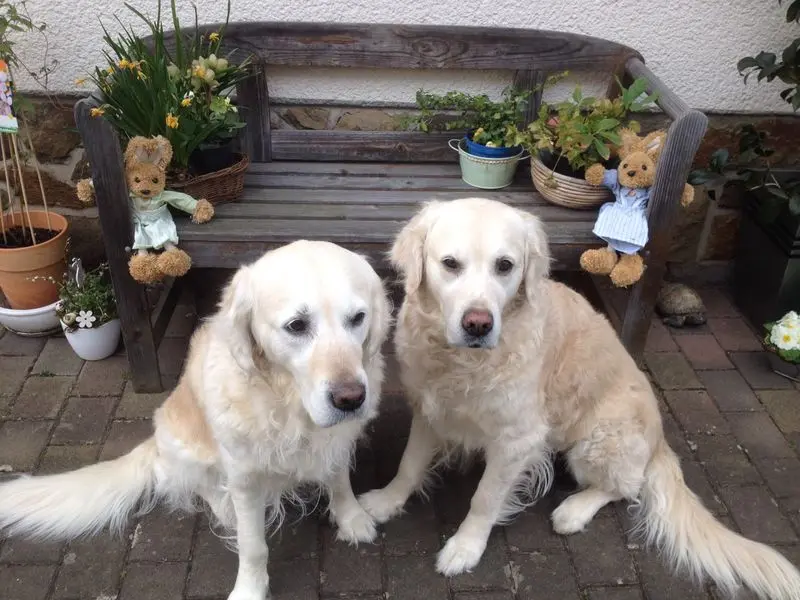 Condolence image of Jutta